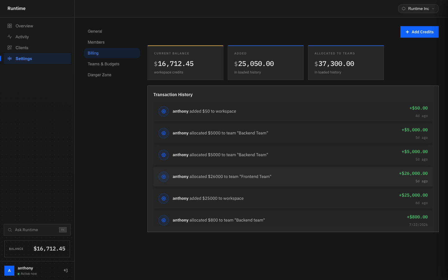 Runtime billing page showing workspace balance, credits added and a full transaction history including team allocations