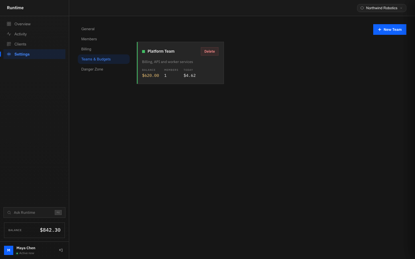 Runtime teams and budgets settings showing a team card with balance and members